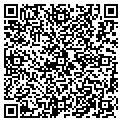 QR code with Sulzer contacts