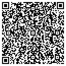 QR code with Carrier Auto Sales contacts