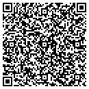 QR code with Pt Pools contacts