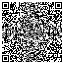QR code with Premium Realty contacts