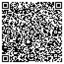 QR code with Chameleon Collection contacts