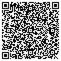 QR code with Pavilion contacts