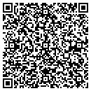 QR code with Premier Home Theatre contacts