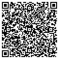 QR code with Cellar contacts
