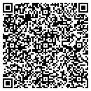 QR code with Public Films Inc contacts