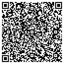 QR code with Blue Ox Stump Removal contacts