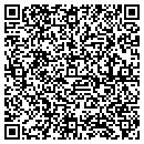 QR code with Public Auto Sales contacts