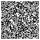 QR code with Brian L Hochstein DDS contacts