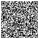 QR code with Practice Tee contacts
