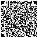 QR code with Public Storage contacts