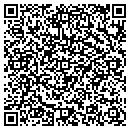 QR code with Pyramid Resources contacts