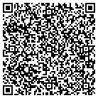 QR code with Blue Haven Pools & Spas contacts