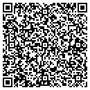 QR code with Professional Optical contacts