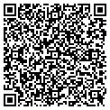 QR code with Cindys contacts