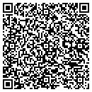QR code with Professional Systems contacts
