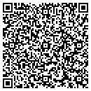 QR code with Carpets By Curiosity contacts