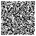 QR code with Cigary contacts