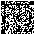 QR code with Blimpie Subs & Salads contacts