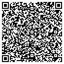 QR code with Professional Bus Serv contacts