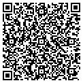 QR code with Cog Co contacts