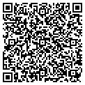 QR code with M Tech contacts