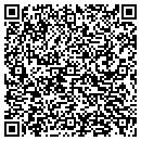 QR code with Pulau Electronics contacts