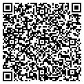QR code with Nolita contacts