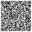 QR code with Public Insurance Inc contacts