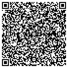 QR code with City Garment Carriers Inc contacts