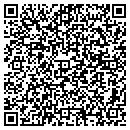 QR code with BDS Technologies Inc contacts