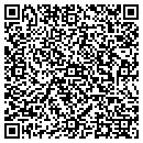 QR code with Profitable Solution contacts