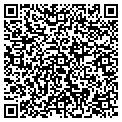 QR code with K Line contacts