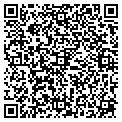 QR code with T Lot contacts