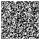 QR code with Premiere Mailing contacts