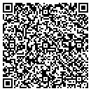 QR code with Bluefire Consulting contacts