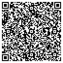 QR code with Pro Jet Intl contacts