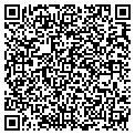 QR code with Donuts contacts