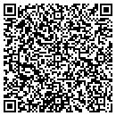 QR code with Briers Scott Dvm contacts