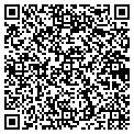 QR code with Shell contacts