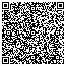 QR code with Pristine Motors contacts