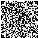 QR code with Pyramid Painting Inc contacts