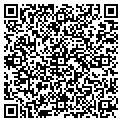 QR code with Bitman contacts