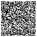 QR code with Nellys contacts