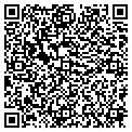 QR code with Lolas contacts