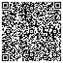 QR code with Purse Strings contacts