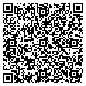 QR code with Angels contacts