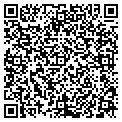 QR code with Y M C A contacts
