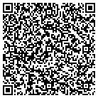 QR code with Brisbin Roofing Solutions contacts