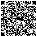 QR code with Custom Alternatives contacts