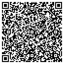 QR code with Precision Designs contacts
